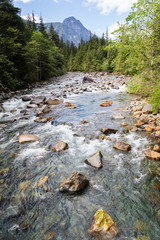 British Columbia bridge crossing the river. East West Canyon Connector