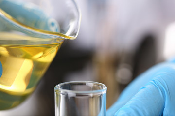 Male hands in protective gloves hold test tube