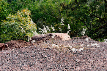Large Rock in African Bushveld