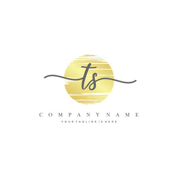 TS Initial Letter handwriting logo hand drawn template vector.
