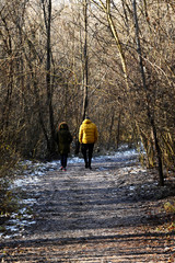 Two tourists, a man and a woman in a yellow jacket, walk in the spring forest, the snow melts, buds swell on the branches.