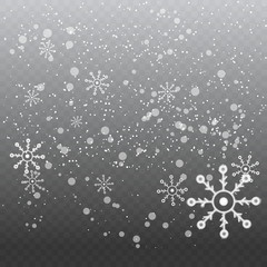 Obraz premium Snowflakes winter season background design with particles. White snow background. White particles dust with transparent background