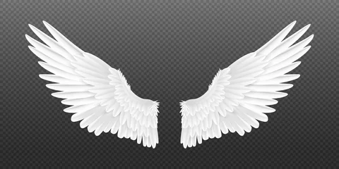 Fotobehang Realistic angel wings. White isolated pair of falcon wings, 3D bird wings design template. Vector concept white cute feathered wing animal on a transparent background © SpicyTruffel
