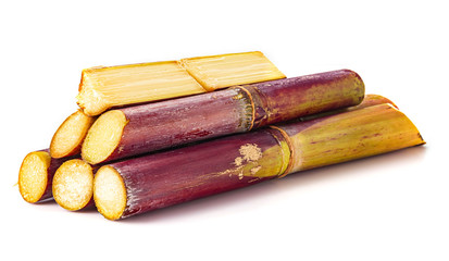Sliced Sugar cane stalks isolated on white background