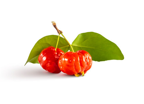 Pitanga fruit isolated on white. Brazilian cherry (Eugenia uniflora - Eugenia pitanga)
