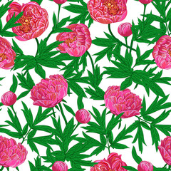 Pink peonies flowers seamless pattern