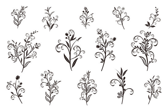 Beautiful hand drawn floral vector collection