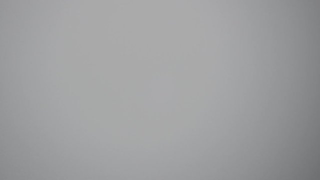 Peregrine Falcon Flying In Sky 002