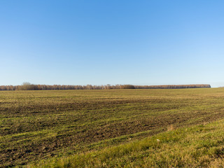 Obraz premium Green plowed fields. Autumn sunny day. Fields are preparing for new crops