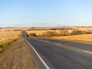 Track among yellow rural autumn fields. Asphalt Tape Goes Over the Horizon