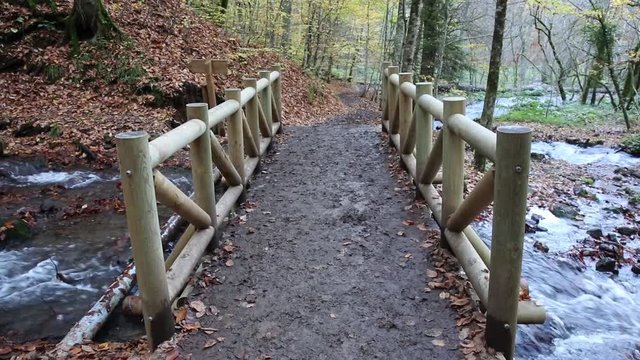 Yedigoller national park in Bolu, Turkey