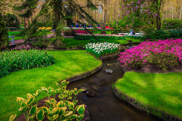 Picturesque colorful spring flowers in the ornamental park, Lisse, Netherlands