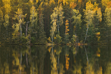 Autumn forest and lake reflection landscape in Finland Travel serene scenic view scandinavian woods...