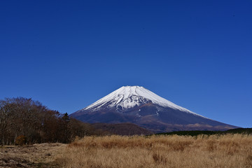 Autumn, the year&rsquo;s last, loveliest smile.