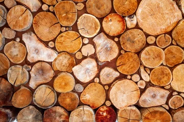 Möbelaufkleber background of cut tree trunks © evgenii