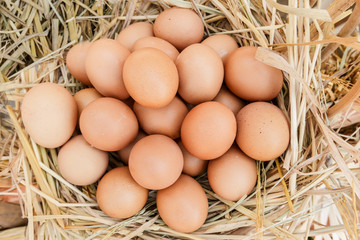 fresh eggs in a basket