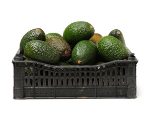 Avocado on a white background