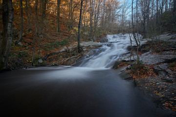 Santa Fe of Montseny