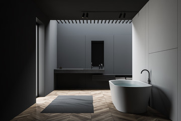 Naklejka na ściany i meble Gray white loft bathroom, tub and sink, side view