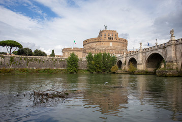 Fototapeta premium Seagulls perched on an island in the river Tiber in Rome