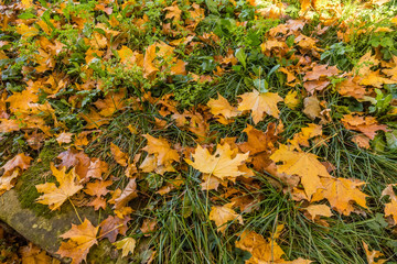 Poland main attractions