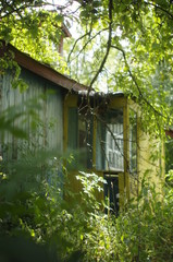 wooden bird house in the forest