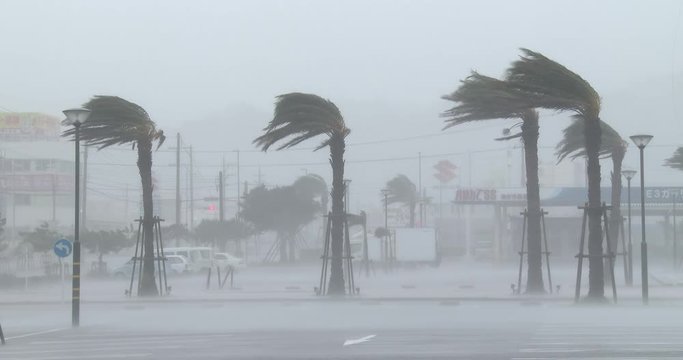 Hurricane Eyewall Strikes City With Strong Wind - Vong