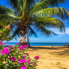  Panoramic dream beach Madagascar