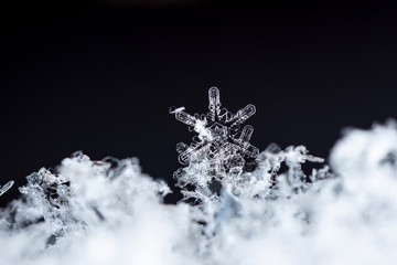 photo real snowflakes during a snowfall, under natural conditions at low temperature