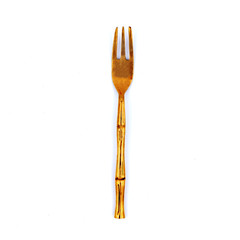 fork isolated on white background