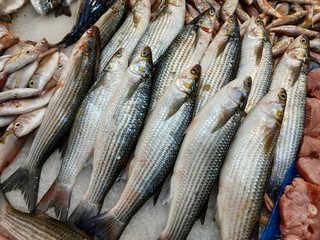 fresh fish on the market counter at Ksadasi, Turkey