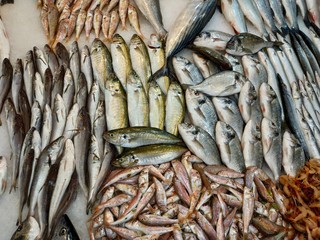 fresh fish on the market counter at Ksadasi, Turkey