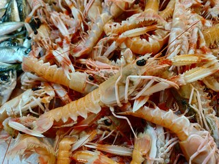 fresh fish on the market counter at Ksadasi, Turkey