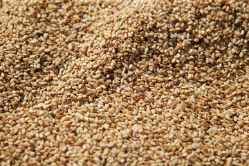 Dried sesame crop, white sesame 