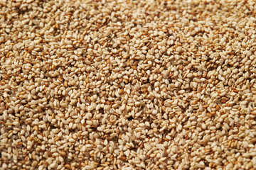 Dried sesame crop, white sesame 