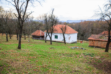 Rural Village Landscape
