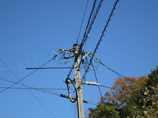 木製の電柱