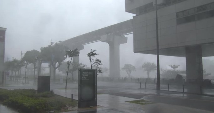 Intense Hurricane Wind Rain Rips Through City - Vong