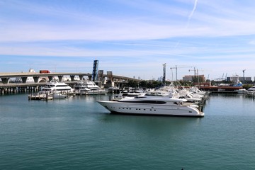 Fototapeta premium miami, florida, usa, sea, bridge, boats, water, harbor, marina, yacht, port, ship, sailing, harbour, ocean, fishing, blue, travel, yachts, bay, nautical, vessel, 