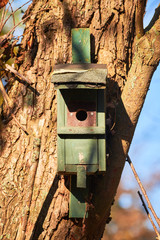 Bird Nest Box in Forest