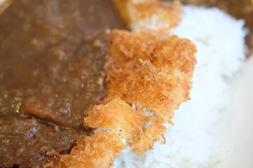  Rice with pork cutlet (Tonkatsu) and curry
