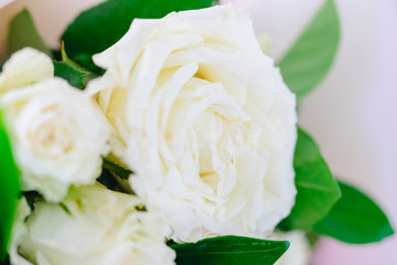 White flower rose background.white petals texture.White flower and Valentines day concept