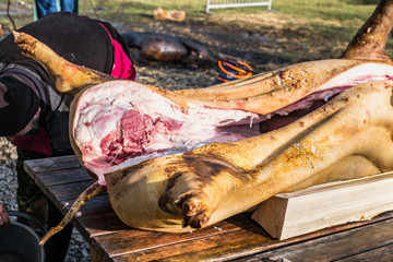 Butchers slaughtering a pig