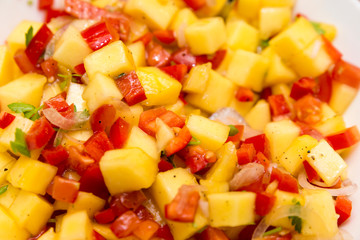 Mango-Salsa 03- 03