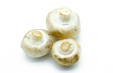 Champignon fresh uncooked mushrooms isolated on white background