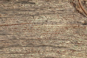 old wooden texture natural color with faded green paint