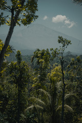 Obraz na płótnie Canvas Mount Agung, a vulcano at Bali
