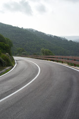 Berg. Strasse. Wald.	