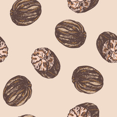 Vector Illustration seamless pattern with hand drawn nutmeg on pink background. Spice culinary pattern with nutmeg nut. Herbal ingredients for kitchen or package design