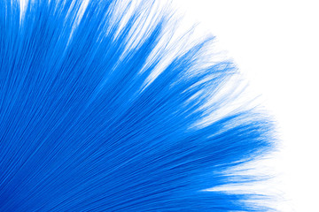 Blue hair close-up on white background, isolated